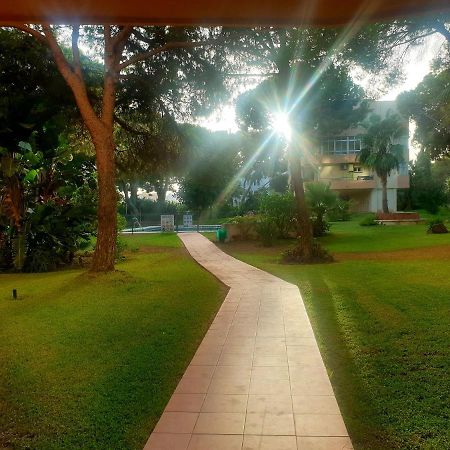 מארבלה Precioso Estudio Con Piscina A 200M Del Mar מראה חיצוני תמונה