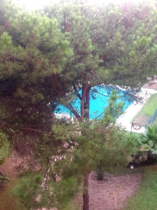 מארבלה Precioso Estudio Con Piscina A 200M Del Mar מראה חיצוני תמונה