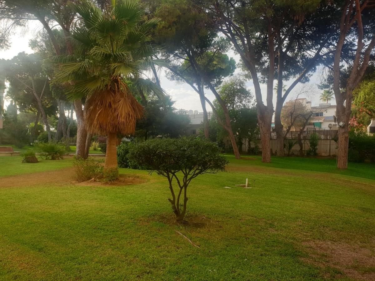 מארבלה Precioso Estudio Con Piscina A 200M Del Mar מראה חיצוני תמונה