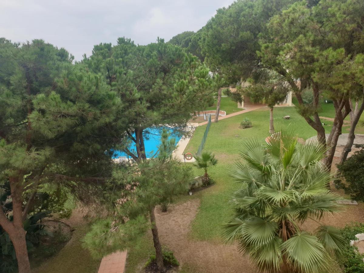 מארבלה Precioso Estudio Con Piscina A 200M Del Mar מראה חיצוני תמונה